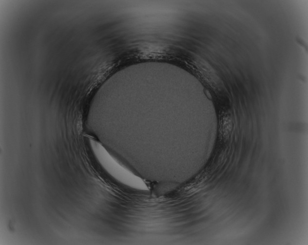 X0000097510508200803201618