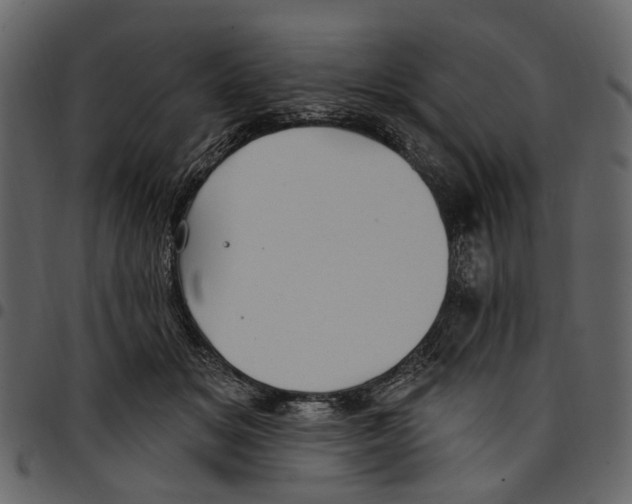 X0000097510509200803201618