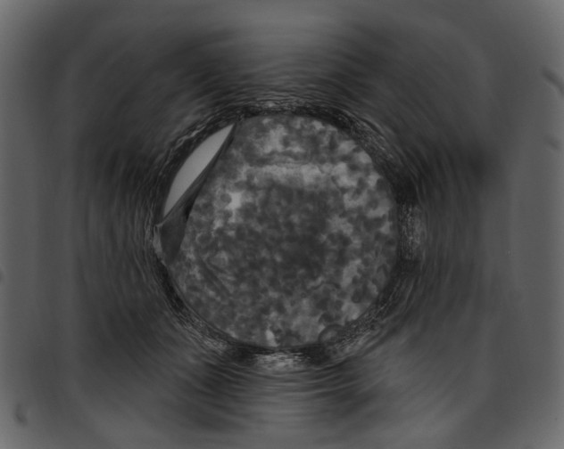 X0000097510511200803201618