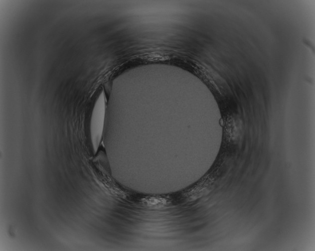 X0000097510512200803201618