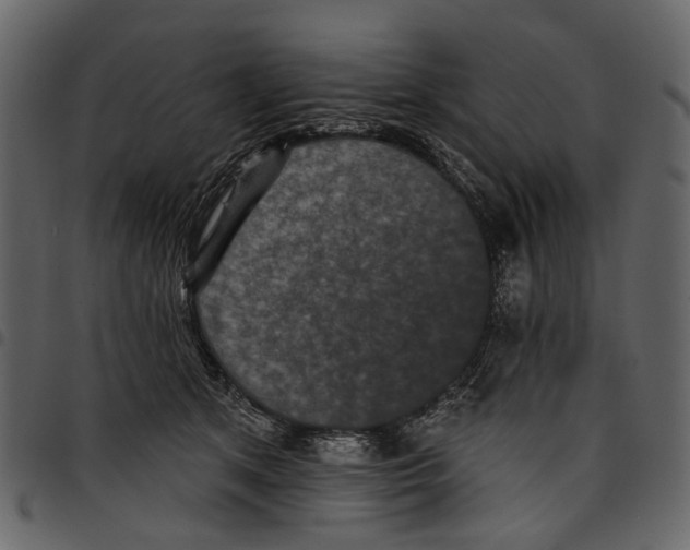 X0000097510513200803201618