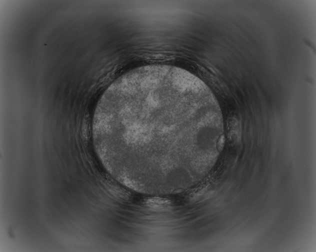 X0000097510515200803201618