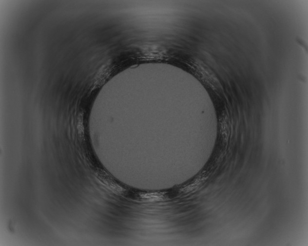 X0000097510516200803201618