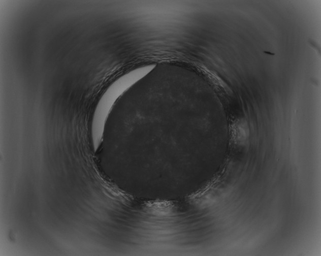 X0000097510517200803201618