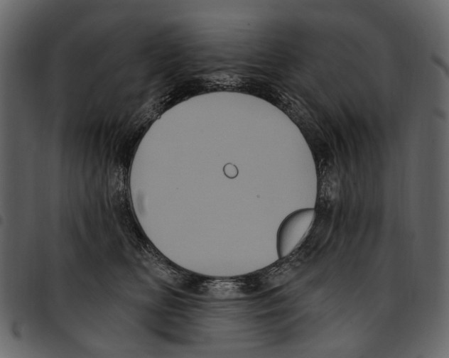 X0000097510518200803201618