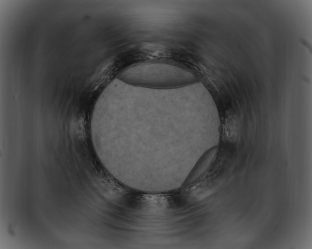X0000097510520200803201618