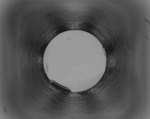 X0000097510521200803201618