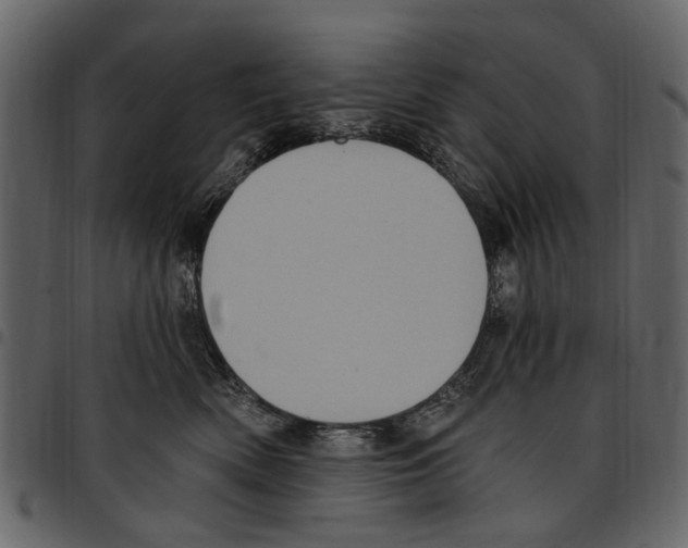 X0000097510522200803201618