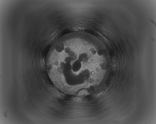 X0000097510523200803201618