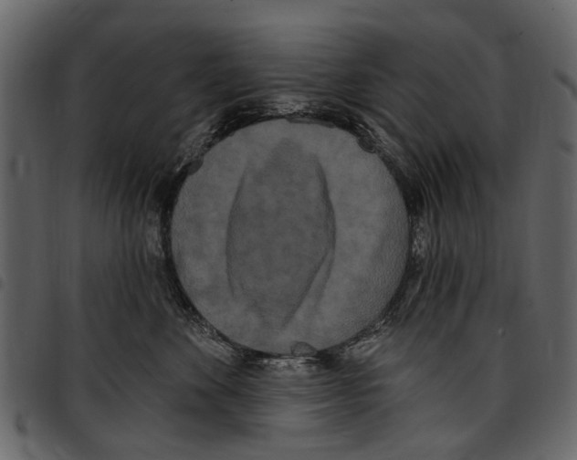 X0000097510524200803201618