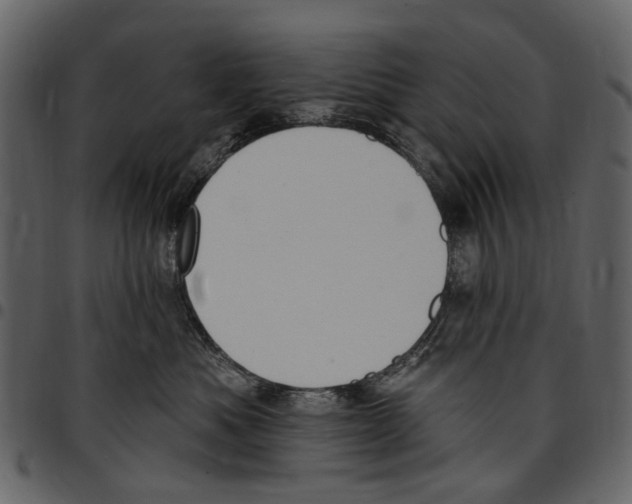 X0000097510525200803201618