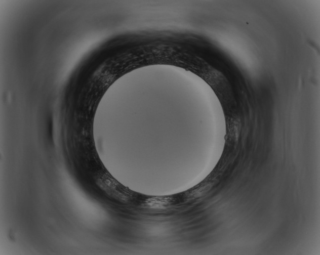 X0000097510526200803201618
