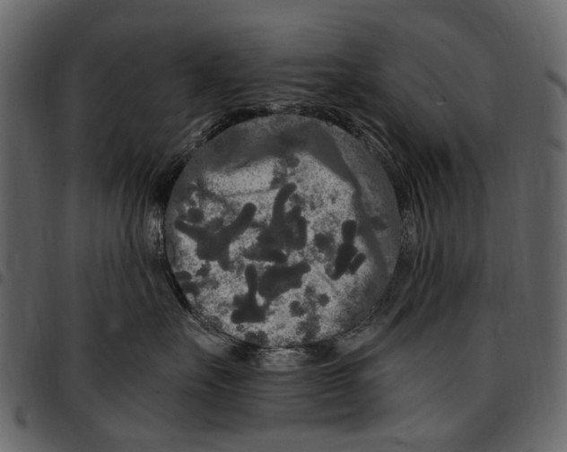 X0000097510527200803201618
