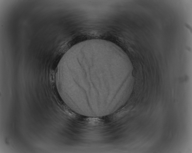 X0000097510528200803201618