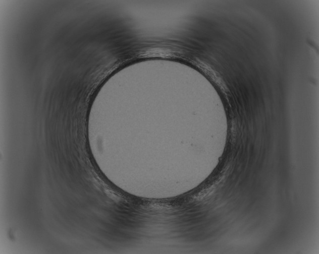 X0000097510529200803201617