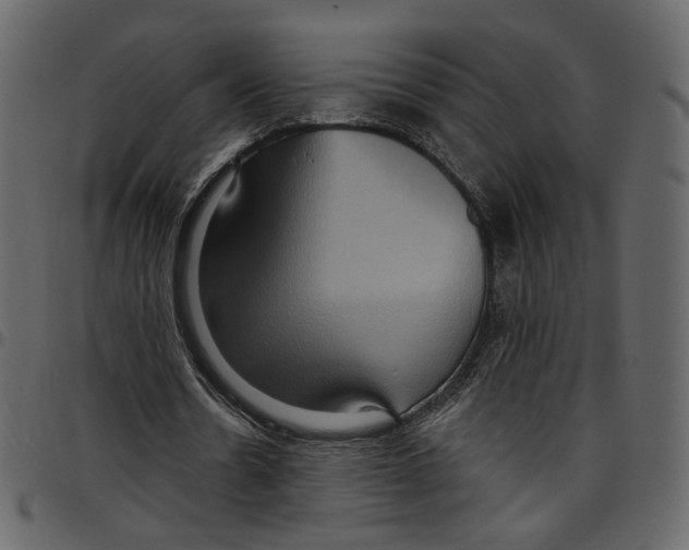 X0000097510530200803201617