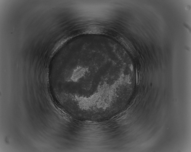 X0000097510531200803201617