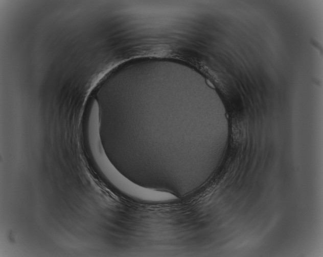 X0000097510532200803201617