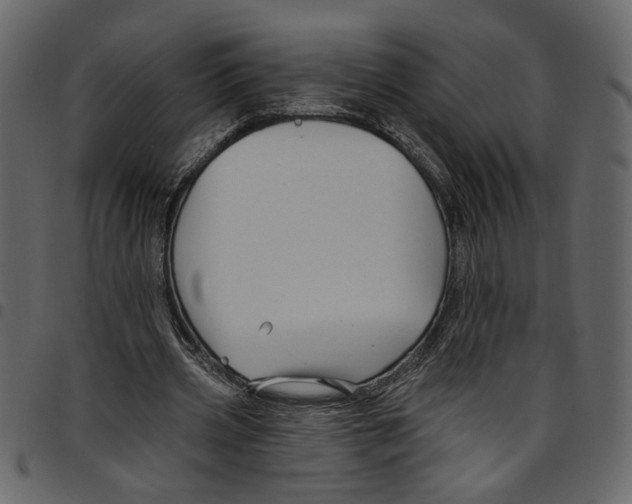 X0000097510533200803201617