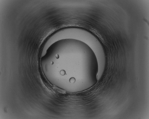 X0000097510534200803201617