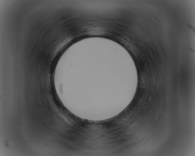X0000097510535200803201617
