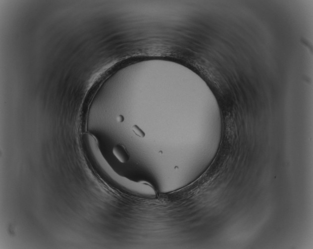 X0000097510536200803201617