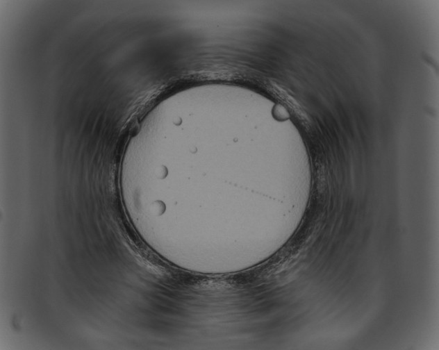 X0000097510537200803201617