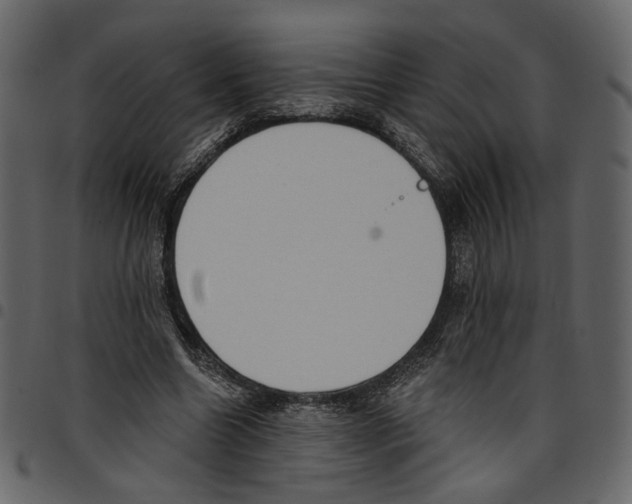 X0000097510538200803201617