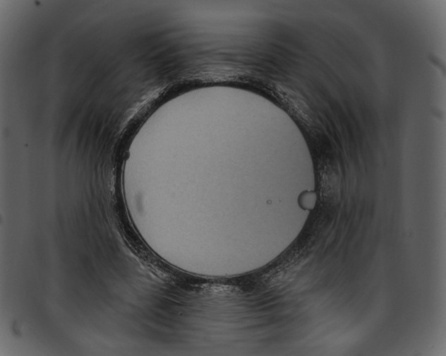 X0000097510539200803201617