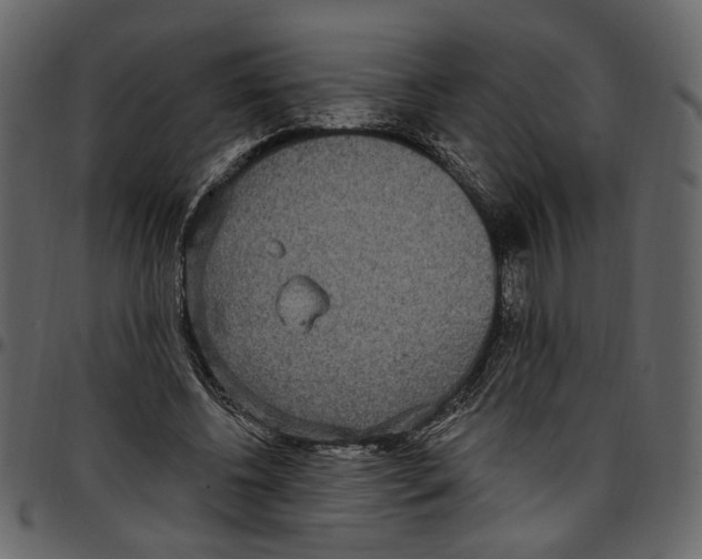 X0000097510540200803201617