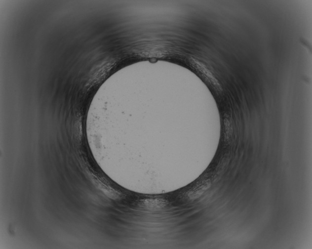 X0000097510541200803201617