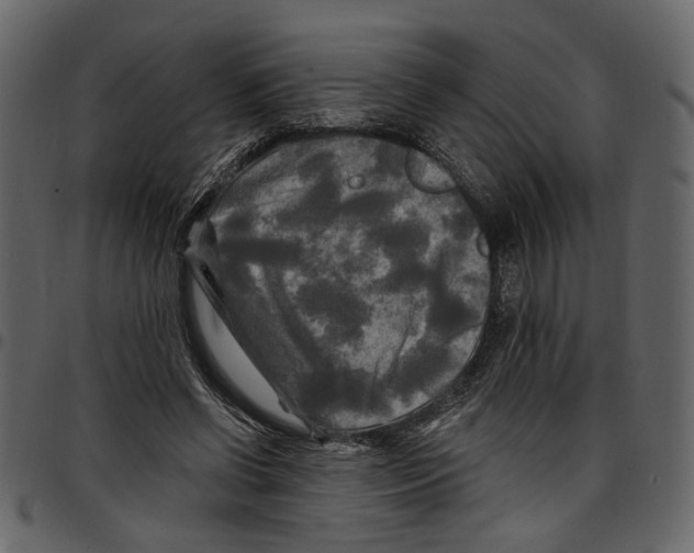 X0000097510542200803201617