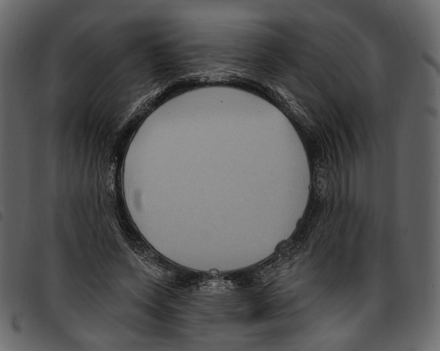 X0000097510543200803201617