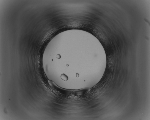 X0000097510544200803201617