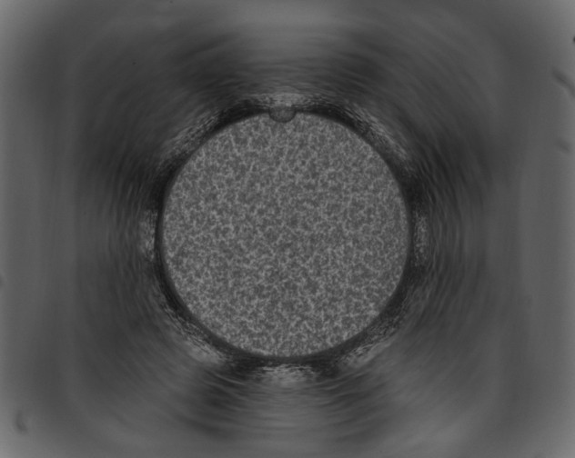 X0000097510545200803201617