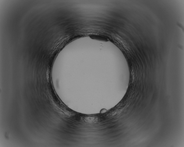 X0000097510546200803201617