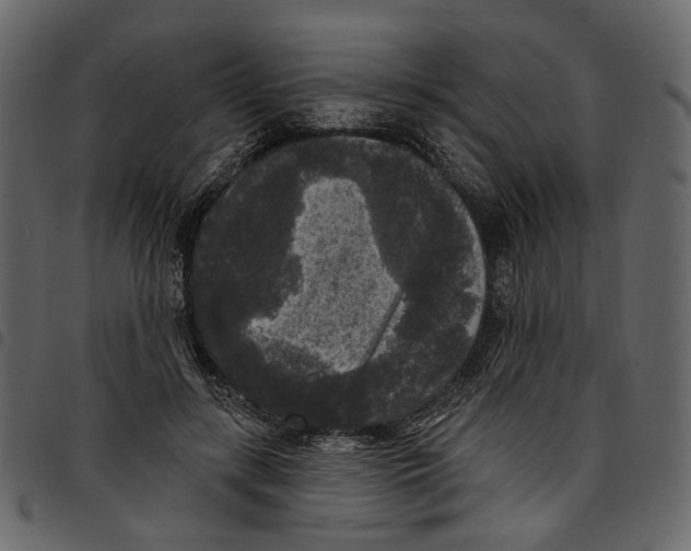 X0000097510547200803201617