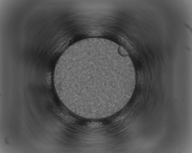 X0000097510549200803201617