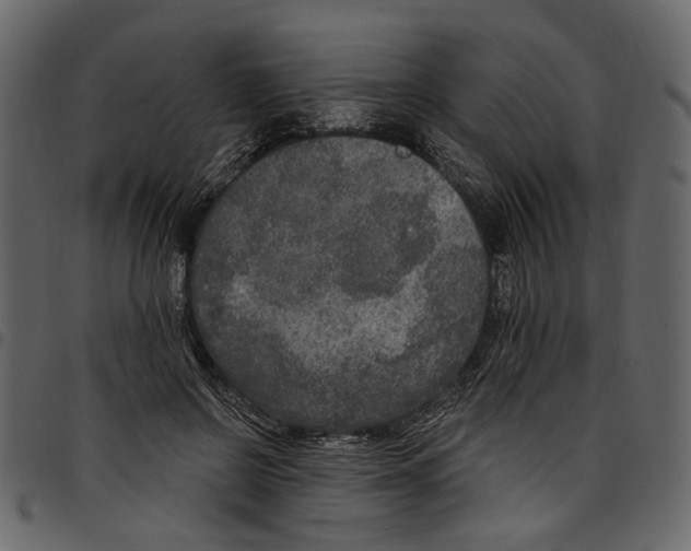 X0000097510550200803201617