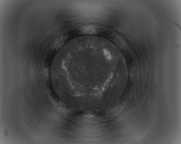 X0000097510551200803201617