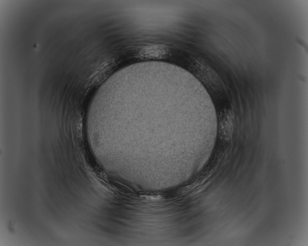 X0000097510552200803201617
