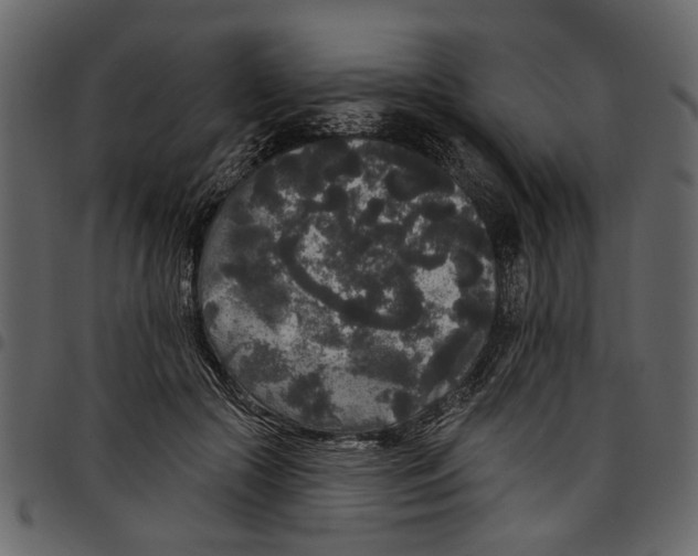 X0000097510553200803201617