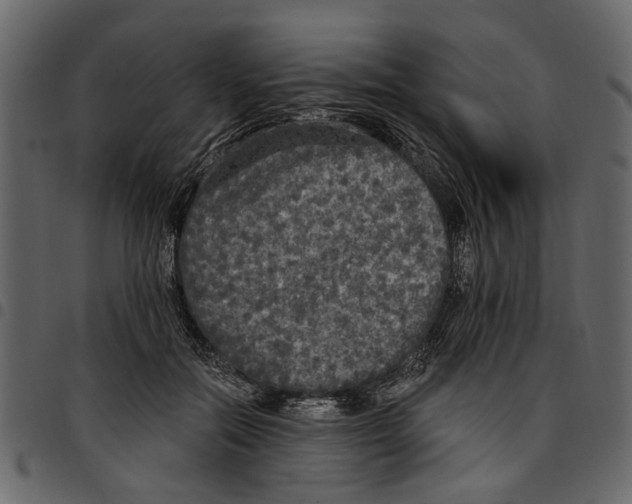 X0000097510554200803201618