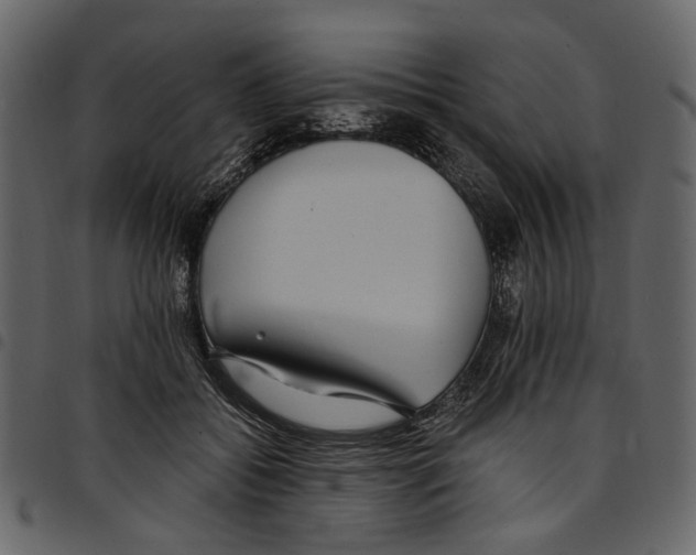 X0000097510556200803201618