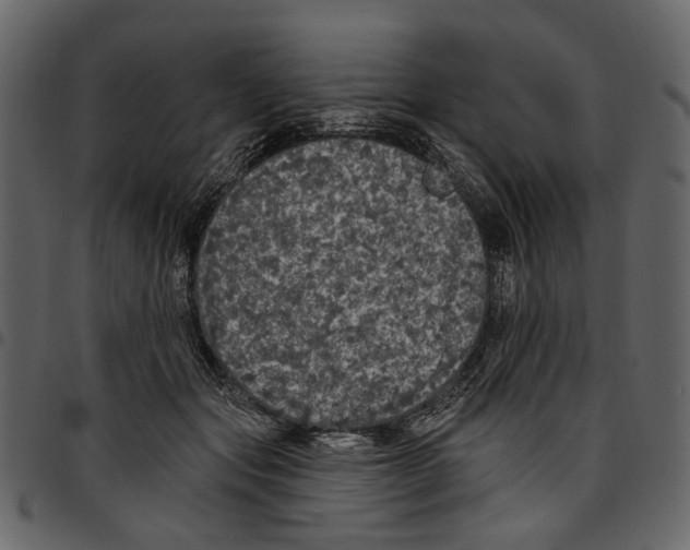 X0000097510557200803201618