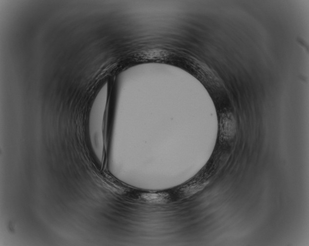 X0000097510558200803201618