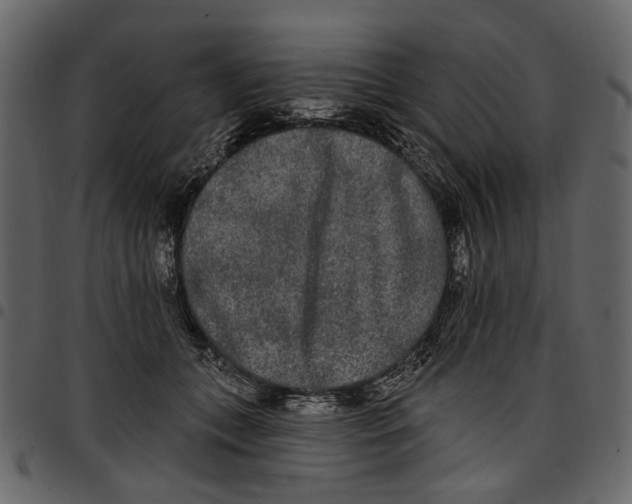 X0000097510559200803201618