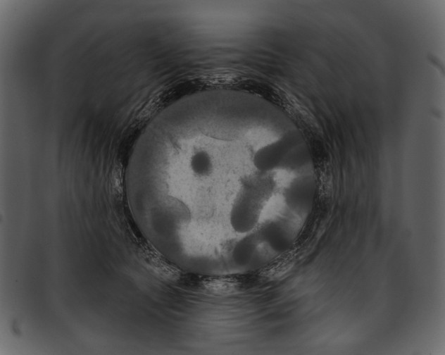 X0000097510561200803201618