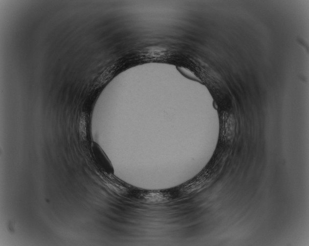 X0000097510562200803201618