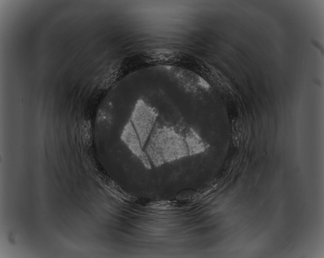 X0000097510563200803201618